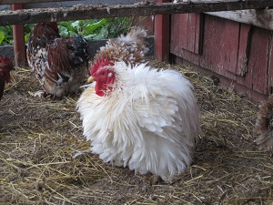 Another Day in Paradise: Life Outside of the Big City Image